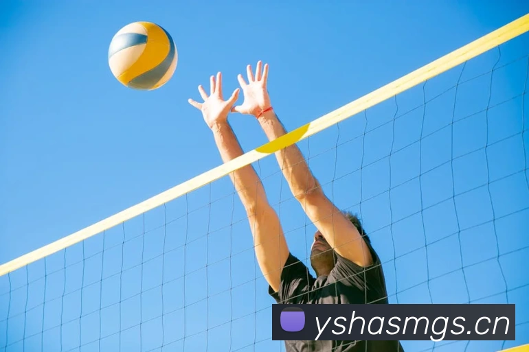 米兰网官网登录入口服务体系